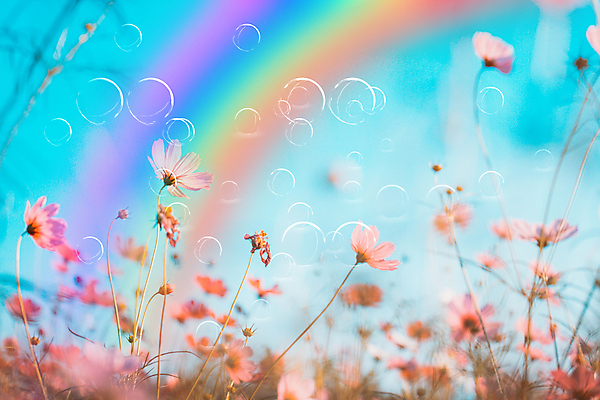 포토 JPG 해외이미지 식물 꽃잎 꽃 분홍색 백그라운드 무지개 꽃무늬 밭 자연 풍경 사람없음 야외 초록색 여름 컬러풀 뷰티 노란색 환경 정원 보라색 봄 거품 벚꽃 흰색 신선 개화 제비꽃 코스모스 내추럴 해외포토 자연요소 계절 컬러 무늬 농업 생태계 파일형식 이미지허브