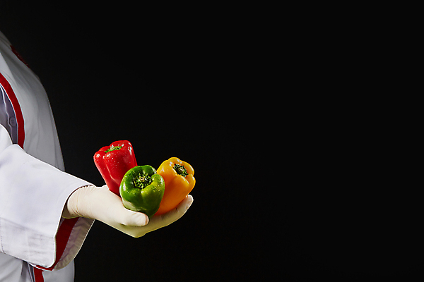 포토 JPG 해외이미지 식물 손 음식 농업 채소 재료 자연 고추 파프리카 건강 요리 사람없음 빨간색 초록색 농장 주방 수확 종 신선 달콤 맛 먹기 유기농 매움 날것 후추 내추럴 숙성 채식주의자 해외포토 웰빙 산업 컬러 컨셉 모션 신체부위 향신료 생태계 채식 파일형식 이미지허브