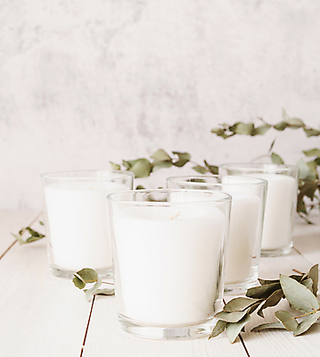 포토 JPG 해외이미지 잎 초 실내 사람없음 오브젝트 흰배경 해외포토 식물 백그라운드 내부 흰색 파일형식 이미지허브