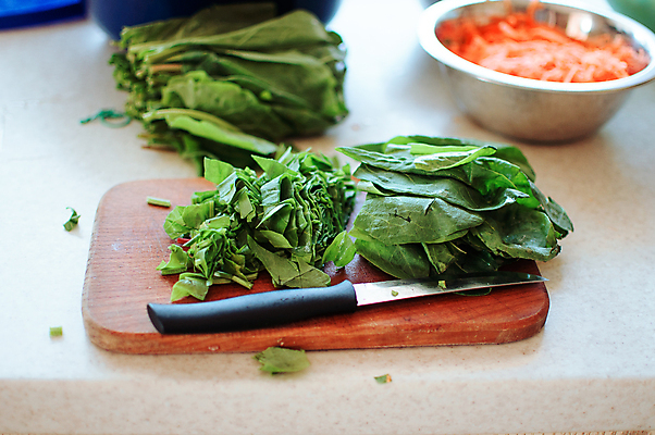 포토 JPG 해외이미지 식물 라이프스타일 접시 음식 백그라운드 잎 다이어트 채소 재료 건강 요리 사람없음 초록색 농장 저녁식사 샐러드 흰색 신선 상추 친환경 유기농 질감 채식 날것 시금치 내추럴 점심식사 채식주의자 비건 해외포토 식기 웰빙 컬러 농업 생활 환경 식사 파일형식 이미지허브