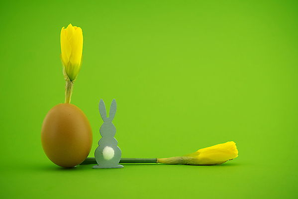 포토 JPG 해외이미지 전통 디자인 배너 계절 꽃 행복 백그라운드 컨셉 꽃무늬 텍스트 자연 추상 휴가 부활절 기념 선물 이벤트 사람없음 장식 초록색 컬러풀 노란색 우주 계란 축제 봄 성장 벚꽃 흰색 축하 인사 신용카드 4월 심볼 수선화 내추럴 무료 해외포토 식물 기념일 감정 컬러 무늬 금융 알 예절 날짜 생태계 파일형식 이미지허브