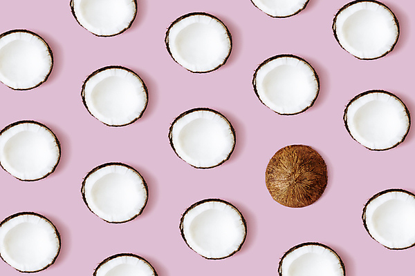 포토 JPG 해외이미지 스튜디오촬영 단면 사람없음 하이앵글 오브젝트 코코넛 해외포토 뷰포인트 과일 실내 파일형식 이미지허브 이미지허브