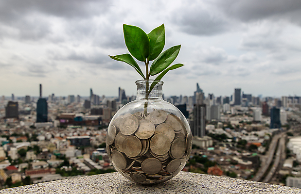 포토 JPG 해외이미지 식물 꽃 백그라운드 컨셉 돈 꽃무늬 비즈니스 자연 성공 미래 설계 아이디어 사람없음 초록색 금융 경제 도시풍경 쌓기 새싹 동전 저축 성장 벚꽃 은퇴 심볼 투자 회계 내추럴 대출 수입 해외포토 컬러 무늬 모션 풍경 도시 재산 생태계 파일형식 이미지허브