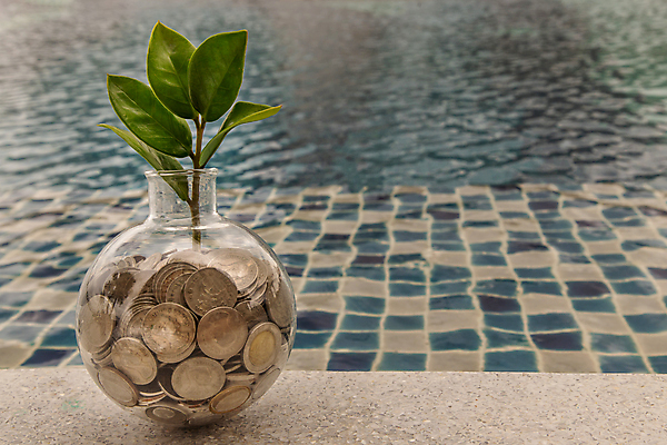 포토 JPG 해외이미지 나무 식물 꽃 백그라운드 컨셉 돈 비즈니스 자연 성공 미래 설계 아이디어 사람없음 초록색 금융 경제 쌓기 새싹 동전 저축 성장 벚꽃 은퇴 심볼 투자 회계 내추럴 대출 수입 해외포토 컬러 모션 재산 생태계 파일형식 이미지허브