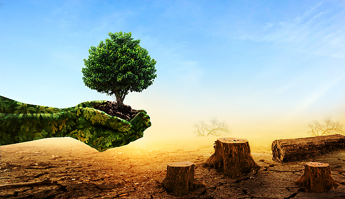 포토 JPG 해외이미지 나무 식물 손 지구 모래 컨셉 잎 농업 자연 표면 날씨 새로움 건조 씨앗 사람 사람없음 초록색 글로벌 지구본 환경 흙 사막 성장 신선 잡기 뜨거움 균열 보호 땅 가뭄 지구온난화 땅바닥 모종 생태학 재앙 해외포토 교육 산업 컬러 모션 바닥 신체부위 생태계 기후변화 파일형식 이미지허브