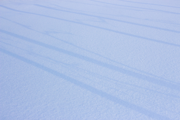포토 JPG 해외이미지 모양 나무 디자인 계절 선 백그라운드 크리스마스 겨울 패턴 밭 자연 벽지 하늘 표면 추상 그림자 미술 풍경 사람없음 야외 그래픽 파란색 빛 울타리 태양 유행 냉동 얼음 검은색 추위 흰색 시골 신선 그늘 언덕 질감 서리 장면 층 1월 내추럴 눈내림 해외포토 자연요소 식물 기념일 컬러 무늬 농업 문화예술 눈_날씨 담장 날짜 생태계 파일형식 이미지허브