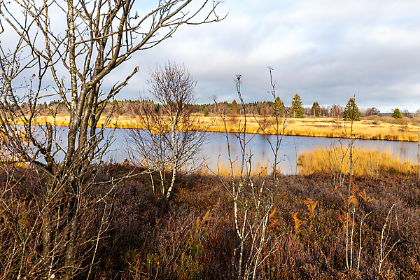 포토 JPG 해외이미지 나무 구름 공원 길 스포츠 여행 백그라운드 자국 자연 하늘 풍경 사람없음 야외 목재 초록색 물 파란색 환경 맑음 산책 산책로 하이킹 가을 시골 연못 황무지 숲 오솔길 벨기에 내추럴 보호구역 해외포토 자연요소 식물 계절 공공시설 컬러 재료 레저 날씨 휴식 생태계 구역 서유럽 파일형식 이미지허브