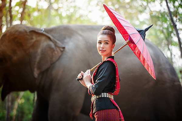 포토 JPG 해외이미지 나무 동물 전통 라이프스타일 실루엣 아시아 종교 문화 야생동물 여행 밭 농업 포유류 태국 자연 아침 코끼리 그림자 한명 사람 동양인 풍경 여름 농장 마을 일출 환경 일몰 시골 농부 숲 신성 상아 북쪽 전국 해외포토 주간 식물 직업 1 계절 나라 산업 촬영기법 인종 생활 노을 방향 생태계 파일형식 이미지허브