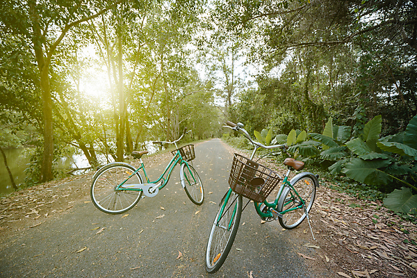 포토 JPG 해외이미지 나무 라이프스타일 커플 공원 도로 길 스포츠 여행 백그라운드 이동 의자 교통시설 자연 휴식 산 프레임 사람없음 야외 목재 초록색 자전거 운전 바퀴 클래식 승차 숲 순환 타이어 바이킹 해외포토 식물 공공시설 컬러 가구 교통 컨셉 재료 관계 모션 생활 바이크 시설 생태계 파일형식 이미지허브