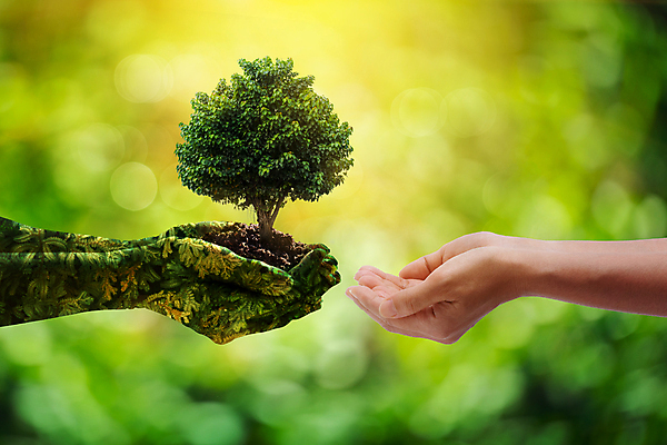 포토 JPG 해외이미지 나무 식물 손 지구 어린이 백그라운드 컨셉 잎 농업 비즈니스 손가락 자연 건강 손바닥 씨앗 사람 사람없음 초록색 여름 빛 세계 글로벌 태양 환경 정원 흙 봄 행성 터치 에너지 성장 흰색 신선 잡기 보호 숲 에코 생태계 원예 생물학 내추럴 개발 고립 돌봄 모종 생태학 해외포토 자연요소 계절 교육 산업 컬러 모션 취미 신체부위 우주 파일형식 이미지허브