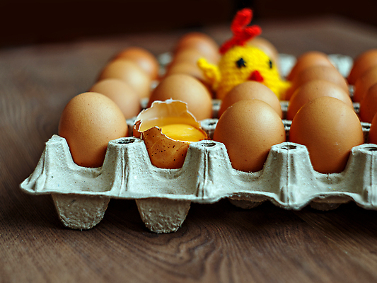 포토 JPG 해외이미지 동물 1 음식 농업 재료 자연 탁자 조류 표면 부활절 건강 병아리 사람없음 목재 상자 갈색 노란색 계란 치킨 껍질 신생아 신선 그룹 둥지 심볼 깃털 유기농 날것 내추럴 식용 암탉 해외포토 나무 웰빙 기념일 산업 컬러 가구 알 아기 닭 암컷 생태계 닭고기요리 파일형식 이미지허브
