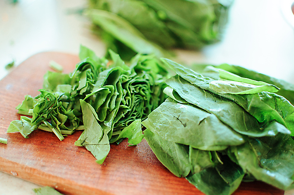 포토 JPG 해외이미지 식물 라이프스타일 접시 음식 백그라운드 잎 다이어트 채소 재료 건강 요리 사람없음 초록색 농장 저녁식사 샐러드 흰색 신선 상추 친환경 유기농 질감 채식 날것 시금치 내추럴 점심식사 채식주의자 비건 해외포토 식기 웰빙 컬러 농업 생활 환경 식사 파일형식 이미지허브