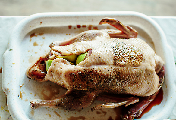 포토 JPG 해외이미지 접시 디자인 음식 백그라운드 잎 신체 과일 부분 조류 주택 오리 육류 요리 미술 사람없음 저녁식사 주스 신선 양념 사과 정상 가슴 굽기 먹기 레몬 향신료 준비 올리브 날것 소금 베이징 후추 꿀 건포도 대두 해외포토 식물 동물 식기 열매 음료 식재료 모션 포도 문화예술 건물 신체부위 식사 중국 구이 건과일 향미료 파일형식 이미지허브