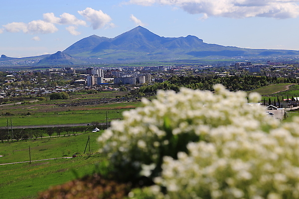 포토 JPG 해외이미지 꽃 도로 여행 백그라운드 자연 하늘 휴식 산 파노라마 사람없음 뷰티 우주 신선 개화 숲 엽서 무한 해외포토 식물 길 컨셉 교통시설 촬영기법 편지 생태계 파일형식 이미지허브