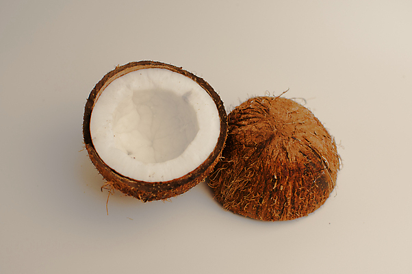 포토 JPG 해외이미지 1 분홍색 조각 백그라운드 과일 사람없음 갈색 검은색 손상 고통 견과류 껍질 흰색 오픈 질병 코코넛 나쁜 고립 곰팡이 단절 썩음 옛날 해외포토 감정 컬러 컨셉 의학 파일형식 이미지허브