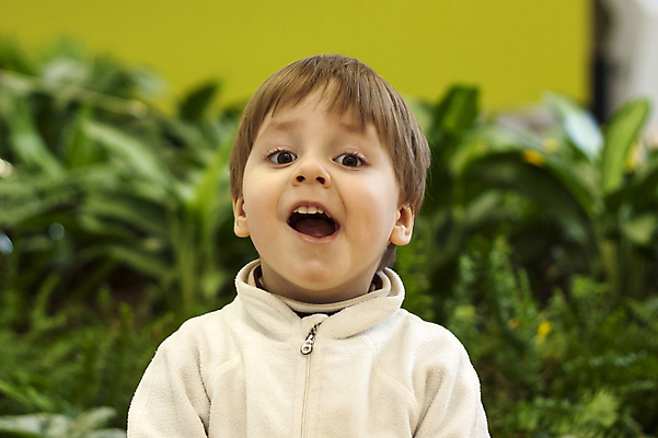 포토 JPG 해외이미지 백인 1 라이프스타일 손 배너 행복 감정 어린이 텍스트 자연 휴가 건강 한명 서기 미소 웃음 사람 뷰티 외침 기쁨 표현 인사 흥분 녹색배경 결백 천진난만 해외포토 서양인 백그라운드 컨셉 모션 표정 생활 신체부위 초록색 소리 예절 생태계 파일형식 이미지허브