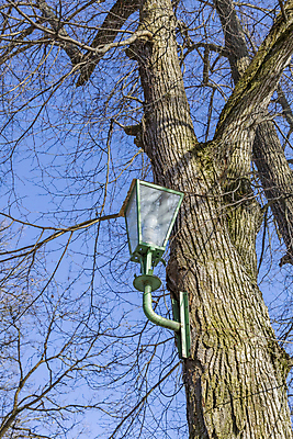 포토 JPG 해외이미지 디자인 공원 백그라운드 가로등 유리 조명 거리 사람없음 야외 빛 금속 장비 수확 흰색 등불 램프 도시 그늘 철 오브젝트 복고 타운 옛날 철강 해외포토 공공시설 컬러 농업 재질 파일형식 이미지허브