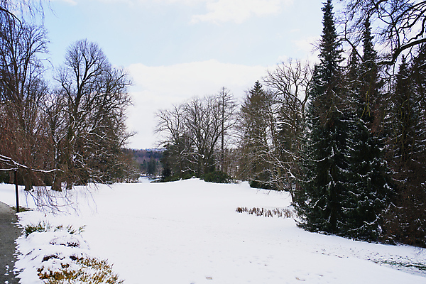 포토 JPG 해외이미지 나무 계절 공원 유럽 호수 여행 결혼 백그라운드 겨울 골프 자연 하늘 휴가 휴식 풍경 사람없음 야외 목재 물 파란색 반사 환경 맑음 냉동 얼음 침묵 추위 흰색 연못 숲 강의 서리 체코 프라하 내추럴 해외포토 자연요소 식물 공공시설 나라 컬러 컨셉 재료 날씨 이벤트 구기 소리 생태계 파일형식 이미지허브