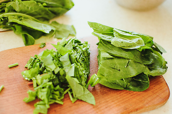 포토 JPG 해외이미지 식물 라이프스타일 접시 음식 백그라운드 잎 다이어트 채소 재료 건강 요리 사람없음 초록색 농장 저녁식사 샐러드 흰색 신선 상추 친환경 유기농 질감 채식 날것 시금치 내추럴 점심식사 채식주의자 비건 해외포토 식기 웰빙 컬러 농업 생활 환경 식사 파일형식 이미지허브