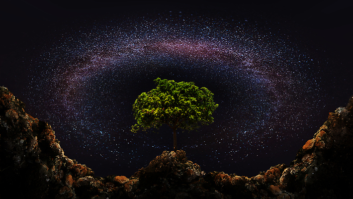 포토 JPG 해외이미지 나무 공원 실루엣 별 과학 여행 백그라운드 밭 자연 하늘 추상 사람없음 야외 파란색 빛 우주 어둠 별자리 시골 야간 숲 은하계 천문학 성운 방법 해외포토 자연요소 식물 공공시설 교육 컬러 무늬 농업 촬영기법 생태계 파일형식 이미지허브