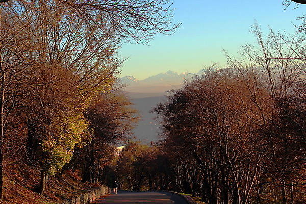 포토 JPG 해외이미지 나무 라이프스타일 계절 공원 도로 여행 자연 하늘 산 사람없음 숲 휴양지 해외포토 식물 공공시설 길 교통시설 생활 장소 생태계 파일형식 이미지허브