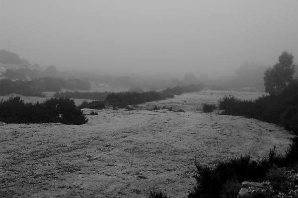 포토 JPG 해외이미지 식물 꽃 자연 아침 휴식 흑백 경사 사람없음 평화 환경 산책 하이킹 안개 시골 행운 티켓 스페인 씻기 땅 지중해 허브 관목 언덕 생태계 향 내추럴 뿌연 석회암 스페인어 알리칸테 유칼립투스 지질 해외포토 주간 나무 유럽 바다 컨셉 레저 날씨 촬영기법 청결 암석 파일형식 이미지허브
