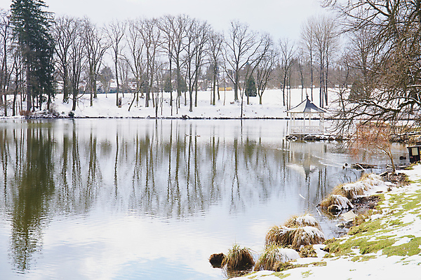 포토 JPG 해외이미지 나무 계절 공원 유럽 호수 여행 결혼 백그라운드 겨울 골프 자연 하늘 휴가 휴식 풍경 사람없음 야외 목재 물 파란색 반사 환경 맑음 냉동 얼음 침묵 추위 흰색 연못 숲 강의 서리 체코 프라하 내추럴 해외포토 자연요소 식물 공공시설 나라 컬러 컨셉 재료 날씨 이벤트 구기 소리 생태계 파일형식 이미지허브