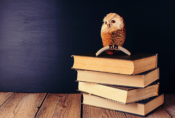 포토 JPG 해외이미지 템플릿 학생 교육 어린이 백그라운드 컨셉 장신구 텍스트 교실 학교 탁자 사람없음 목재 책 스터디 컬러풀 독서 연필 펜 검은색 교사 공책 칠판 공백 계산기 가을 흰색 도구 스테이플러 책상 그림 분필 부엉이 컴파스 모음 공급 카피스페이스 해외포토 나무 직업 계절 컬러 가구 재료 조류 문구용품 학용품 사람 학습 필기구 사무용품 장비 초크 파일형식 이미지허브