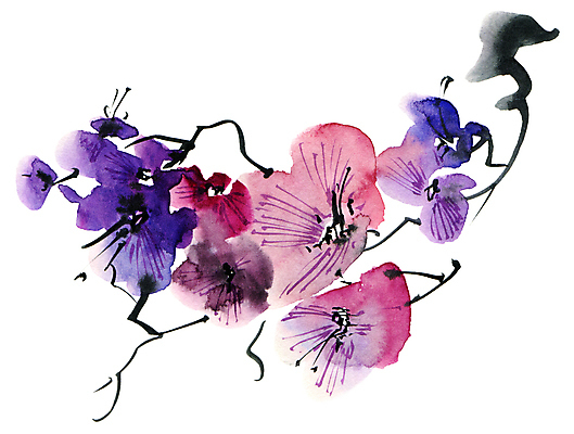 포토 JPG 해외이미지 꽃잎 꽃 줄기 분홍색 일러스트 캘리그라피 붓터치 수묵화 미술 사람없음 제비꽃 동양화 번짐 해외일러스트 식물 컬러 문화예술 파일형식 효과 이미지허브