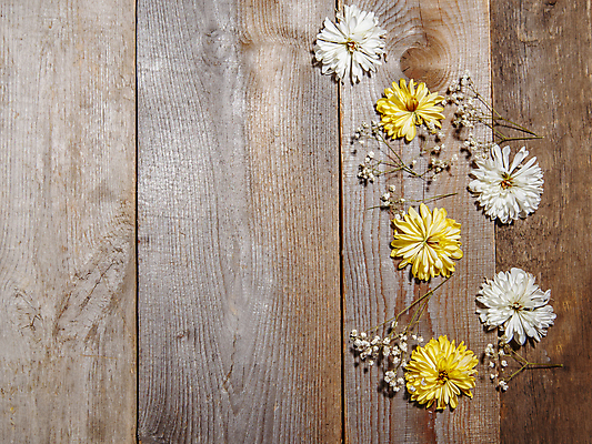 포토 JPG 해외이미지 계절 꽃 백그라운드 꽃무늬 자연 탁자 표면 봉투 사람없음 목재 뷰티 갈색 노란색 우주 봄 벚꽃 흰색 시골 판넬 신용카드 널 다발 질감 엽서 패널 내추럴 옛날 해외포토 나무 식물 컬러 가구 무늬 재료 금융 편지 생태계 파일형식 이미지허브