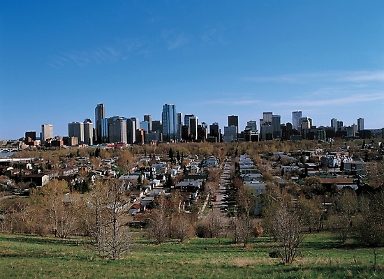 포토 JPG 주간 나무 해외풍경 자연 하늘 풍경 빌딩 사람없음 야외 건물 도시 상업시설 국내포토 자연요소 식물 해외 건축물 시설 생태계 상업 파일형식