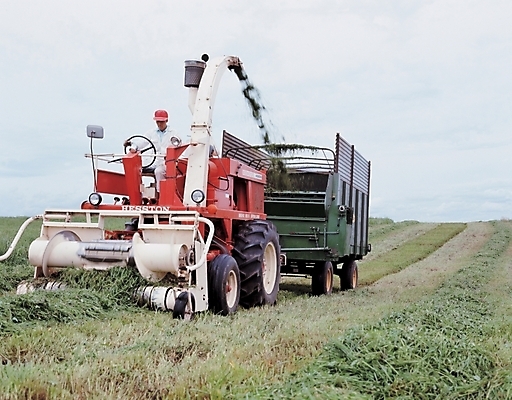 포토 JPG 주간 산업 농업 건설업 논 한명 야외 장비 운송업 벼 중장비 농기구 트랙터 탈곡기 국내포토 자연요소 1 곡류 사람 산업장비 농기계 특수차량 파일형식
