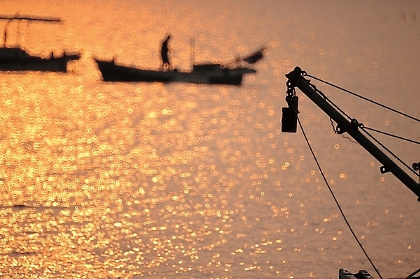 포토 JPG 주간 해외풍경 실루엣 산업 교통 수상교통 자연 어업 사람 풍경 야외 강 황혼 일몰 운송업 어선 선박 국내포토 자연요소 해외 교통수단 배_교통 촬영기법 노을 생태계 파일형식