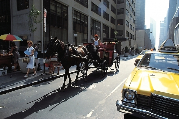 포토 JPG 주간 해외풍경 건축물 건축 도로 길 육상교통 교통 자동차 자연 거리 거리풍경 사람 풍경 빌딩 야외 건물 도시풍경 도시 말_동물 마차 상업시설 국내포토 자연요소 해외 교통수단 포유류 교통시설 시설 생태계 상업 파일형식