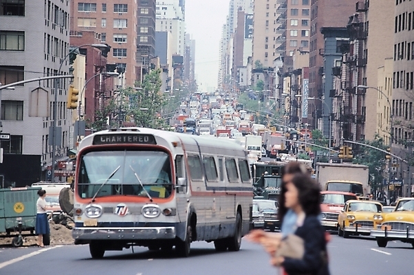 포토 JPG 주간 해외풍경 건축물 건축 도로 길 육상교통 교통 자동차 자연 거리 버스 거리풍경 사람 풍경 여러명 야외 건물 도시풍경 도시 국내포토 자연요소 해외 교통수단 다수 교통시설 대중교통 생태계 파일형식