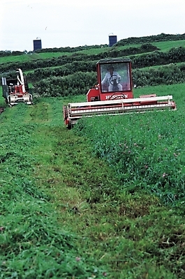 포토 JPG 주간 산업 농업 자연 한명 풍경 초원 야외 농경지 기계 중장비 농기구 트랙터 탈곡기 국내포토 자연요소 1 사람 농장 산업장비 농기계 생태계 특수차량 파일형식