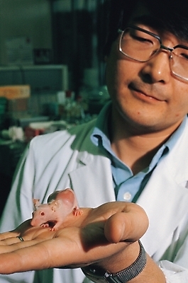 포토 JPG 주간 직업 남자 중년 과학 실내 실험 한명 사람 동양인 20대 성인 실험실 쥐 연구원 동물실험 남자만 남자한명만 성인남자만 성인만 국내포토 자연요소 1 인종 청년 내부 설치류 파일형식