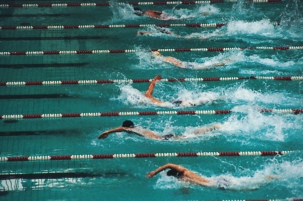 포토 JPG 주간 남자 스포츠 올림픽 하계올림픽 운동선수 수영장 실내 사람 여러명 수영 하계스포츠 수영선수 자유형 남자만 국내포토 자연요소 다수 내부 수상스포츠 파일형식