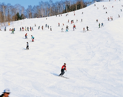 포토 JPG 주간 설경 겨울 자연 스키 겨울스포츠 스키장 산 사람 풍경 야외 레포츠 눈 군중 국내포토 자연요소 계절 스포츠 레저 날씨 생태계 파일형식