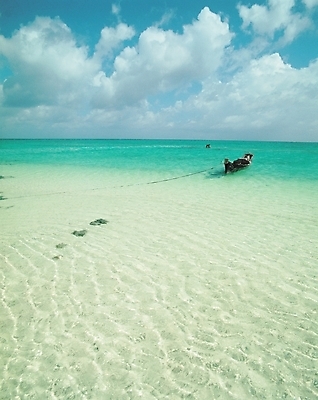 포토 JPG 주간 구름 바다 여행 교통 수상교통 자연 하늘 휴가 풍경 해변 사람없음 야외 나룻배 휴양지 선박 국내포토 자연요소 교통수단 배_교통 장소 생태계 파일형식