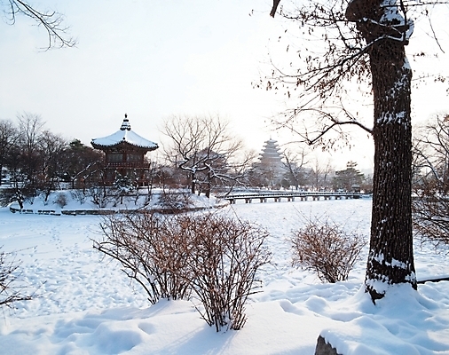 포토 JPG 주간 나무 시설물 사계절 계절 건축 고건축 설경 겨울 자연 풍경 사람없음 야외 동양건축 궁전 눈 사찰 산사 국내포토 자연요소 식물 건축물 종교건축 날씨 생태계 파일형식 동양