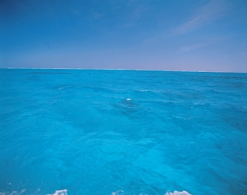 포토 JPG 주간 바다 여행 백그라운드 자연 하늘 휴가 풍경 사람없음 야외 파란색 휴양지 국내포토 자연요소 컬러 장소 생태계 파일형식