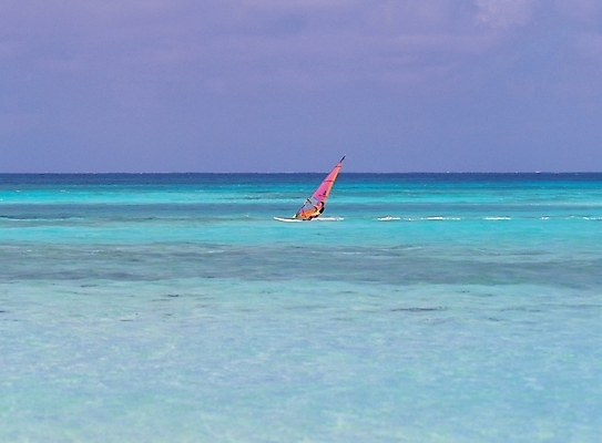 포토 JPG 주간 스포츠용품 바다 자연 레저 풍경 야외 여름 레포츠 여름휴가 바캉스 윈드서핑 휴양지 국내포토 자연요소 계절 스포츠 휴가 장소 수상스포츠 오브젝트 생태계 파일형식 여름_계절