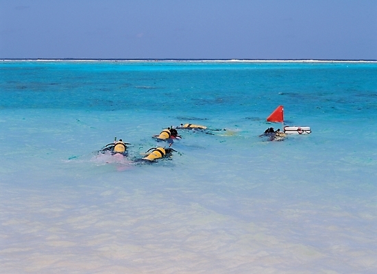 포토 JPG 주간 남자 바다 자연 레저 사람 풍경 여러명 야외 여름 레포츠 여름휴가 바캉스 스노클링 잠수 휴양지 스쿠버다이빙 산소통 남자만 국내포토 자연요소 계절 다수 휴가 통 장소 수상스포츠 생태계 파일형식 여름_계절