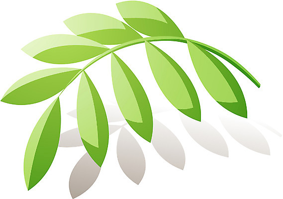 EPS 식물 잎 일러스트 나뭇잎 사람없음 국내일러스트 파일형식 벡터