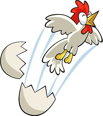 EPS 동물 척추동물 일러스트 조류 사람없음 계란 알 일본 십이지신 운세 닭띠 닭 유 국내일러스트 아시아 파일형식 벡터