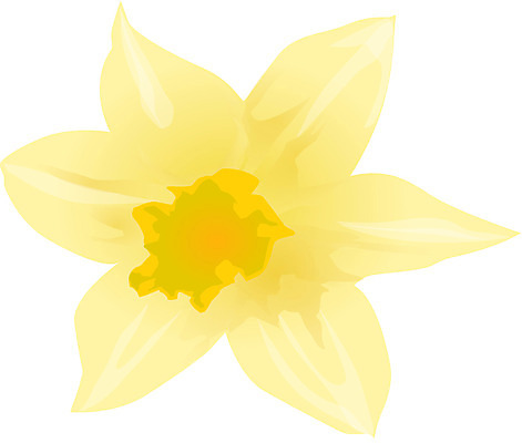 EPS 클립아트 식물 꽃 한송이 일러스트 자연 사람없음 겨울꽃 수선화 1월 탄생화 국내일러스트 1 겨울 날짜 생태계 송이 파일형식 벡터