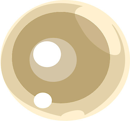 EPS 클립아트 잡화 일러스트 장신구 사람없음 6월 광석 보석 오브젝트 진주 탄생석 국내일러스트 날짜 파일형식 벡터