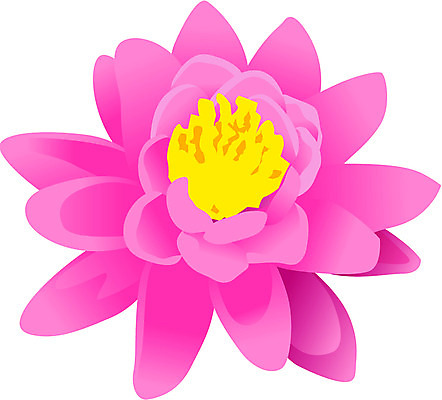 EPS 클립아트 식물 꽃 한송이 일러스트 여름꽃 자연 연꽃 사람없음 7월 탄생화 국내일러스트 1 날짜 생태계 송이 파일형식 벡터 여름_계절