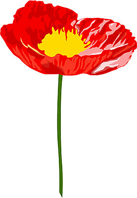 EPS 클립아트 식물 꽃 한송이 일러스트 여름꽃 자연 사람없음 양귀비 8월 탄생화 국내일러스트 1 날짜 생태계 송이 파일형식 벡터 여름_계절